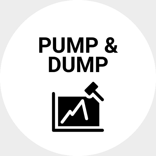 pump and dump investor