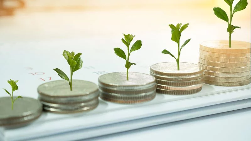 Why Invest in Mutual Funds?