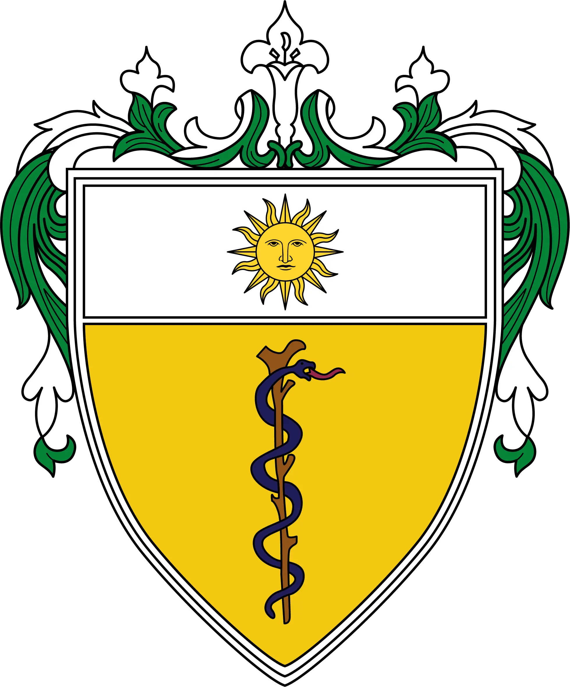 ust faculty of medicine and surgery logo